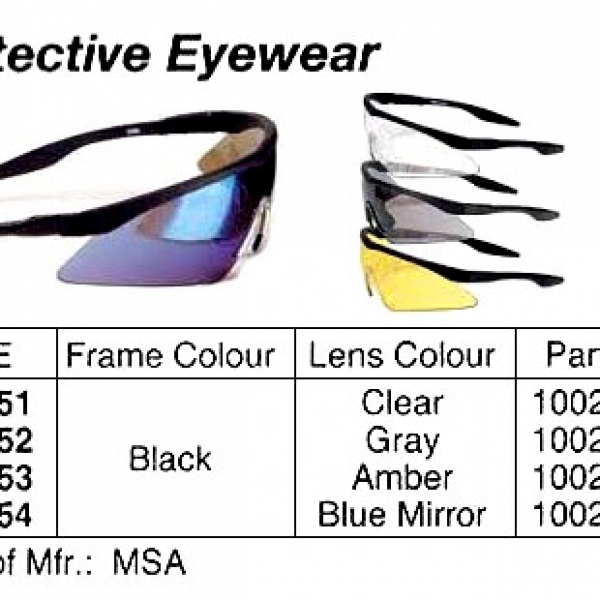 311051-EYEWEAR PROTECTIVE ANTIFOG, CLEAR LENS #10070917